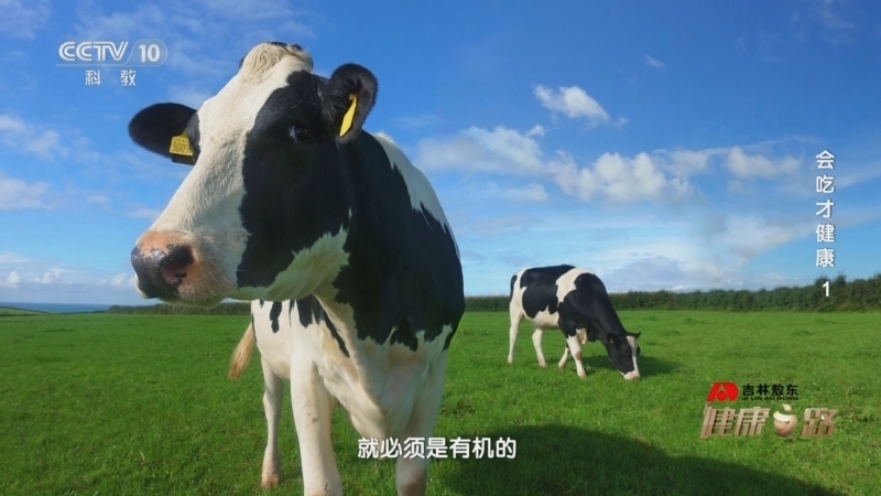 《健康之路》 20250517 会吃才健康 1