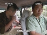 走近科学 《走近科学》 20140915 “小科”的动物世界——动物伤人事件簿