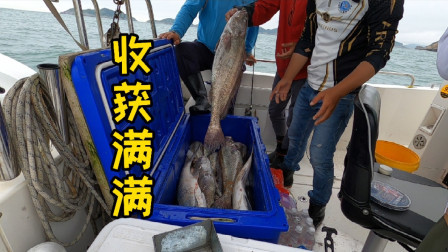 约上三五好友出海钓鱼，一天下来200 L的桶直接装满，都是高手啊