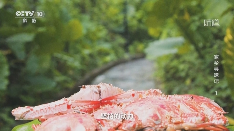味道 《味道》 20250104 家乡寻味记（1）