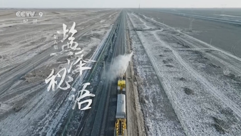 《生命树》 第5集 盐泽秘语