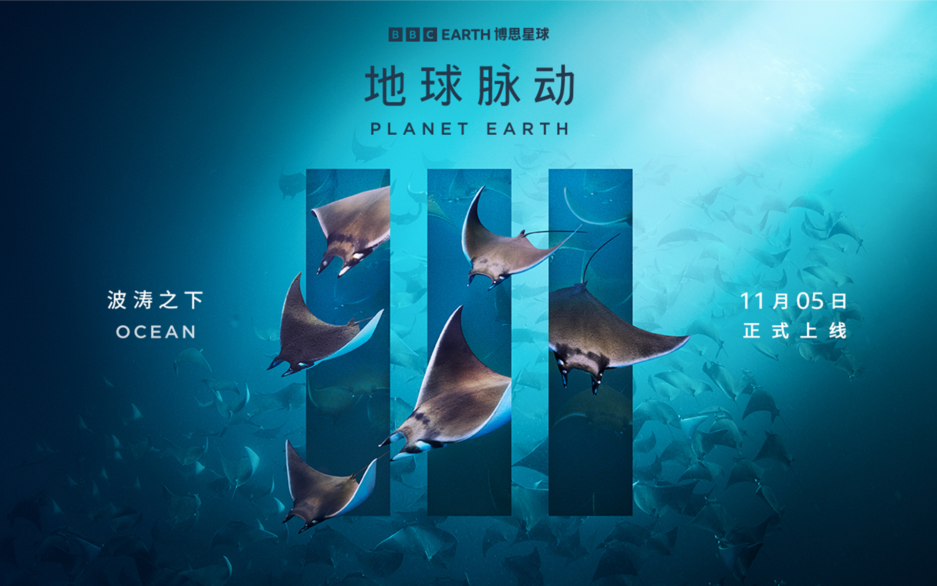 地球脉动 第三季 波涛之下