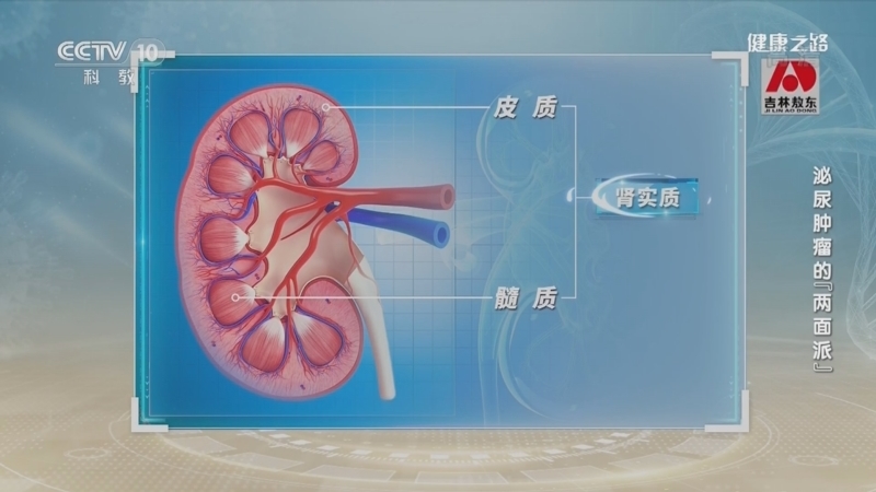 健康之路 《健康之路》 20220225 泌尿肿瘤的“两面派”