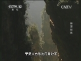 地理中国 《地理中国》 20140624 幽潭魅影