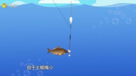 垂钓学院 第一季 化绍新浅滩钓鲫