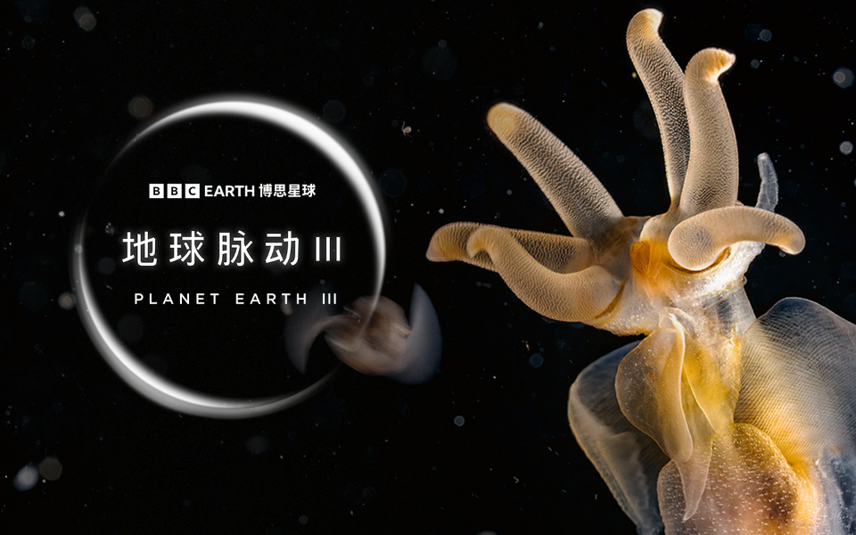 地球脉动 第三季 海陆之间