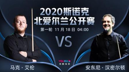 2020斯诺克北爱尔兰公开赛 2020斯诺克 马克-艾伦VS安东尼-汉密尔顿
