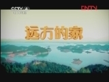 远方的家 《沿海行》第90集 深圳罗湖区 《远方的家》 20120409