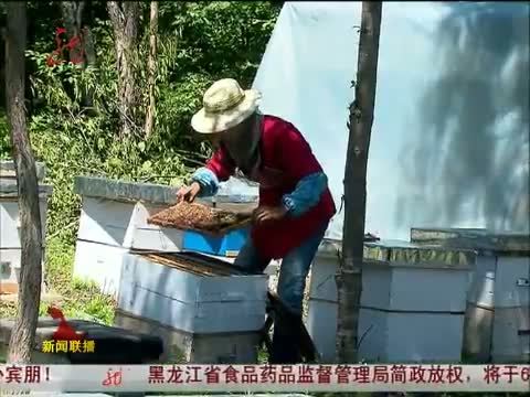 全省新闻联播 《全省新闻联播》 20140621