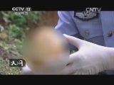 天网 《天网》 20131120 山谷冤魂