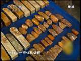 地球密码（周末精编节目） 周末精编节目 2010年 第250期