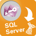 AccessToMsSql