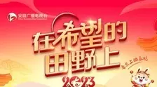 安徽省2023农民春晚 海报