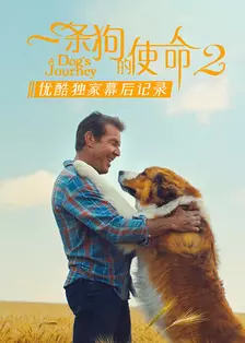 《一条狗的使命2》优酷独家幕后记录 海报