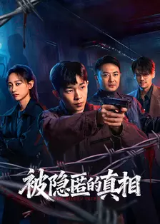 被隐匿的真相 海报