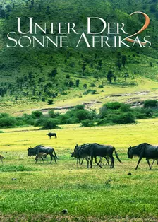 《走进非洲2友谊地久天长》海报