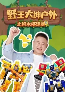 野王大坤户外之积木搭建赛 海报