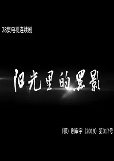 阳光里的黑影 海报