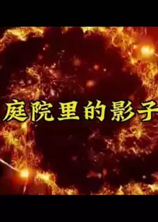 庭院里的影子 海报