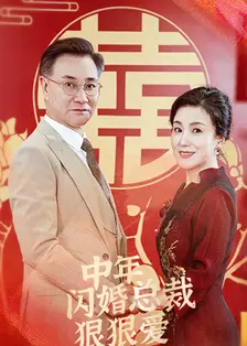 中年闪婚总裁狠狠爱 海报