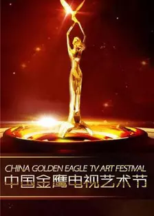 第六届中国金鹰电视艺术节 海报