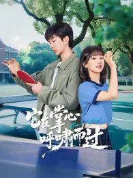 它在掌心，呼啸而过 海报