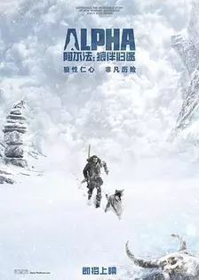 《阿尔法：狼伴归途》海报