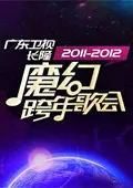 广东卫视魔幻跨年歌会 2012 海报