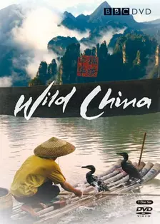 美丽中国 海报