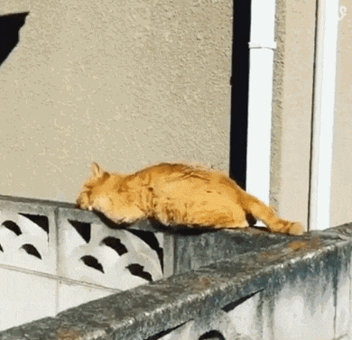 搞笑gif: 各位,不好意思,我要离开地球了,他们来接我回家了