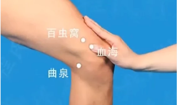 血海穴位位置图和作用_360新知