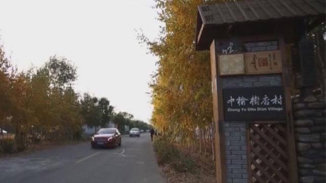 《财富故事》20170917情系乡间体味乡风（下）