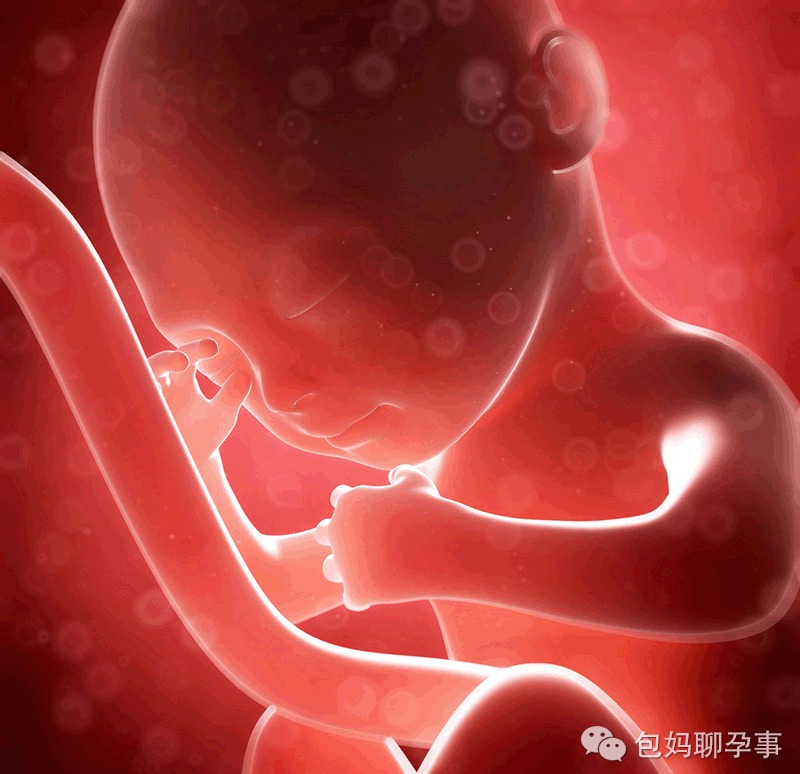 孕妈妈爱生气,对胎儿影响很不好!