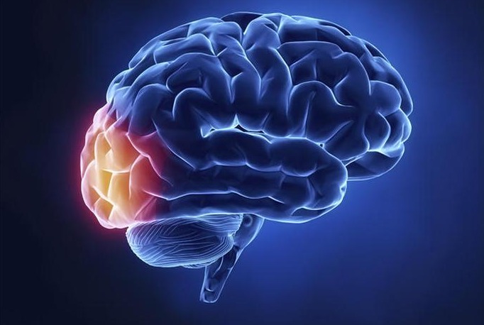 美国研究人员发现,聪明孩子的大脑要比普通孩子成熟晚,智商高的孩子在