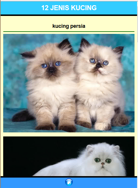 jenis kucing peliharaan