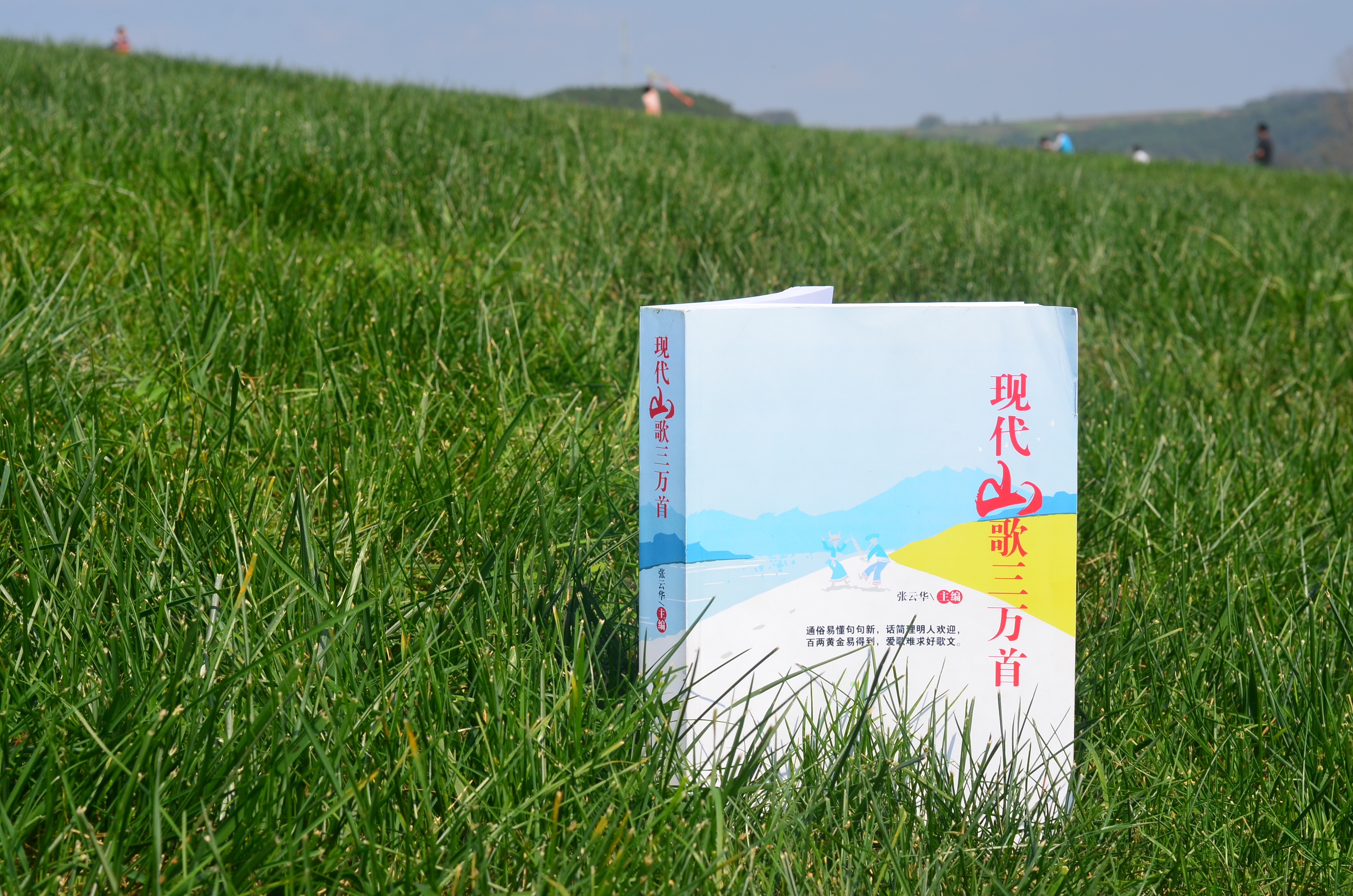 山歌书-到处都是山歌狂