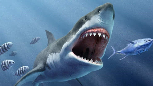 鬼鲨