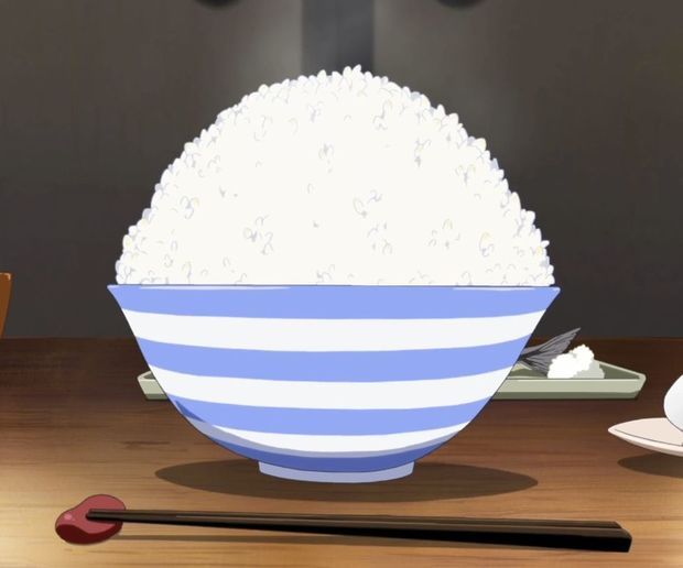 额,就是蓝白碗. 讨厌,硬要人家说的那么明白才能懂么.