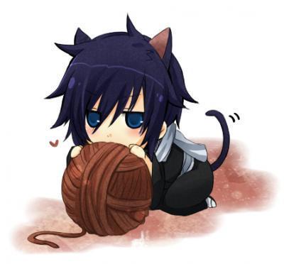 《薄樱鬼》讲述了动乱的幕末时期,雪村千鹤是在江户长大的兰学医者