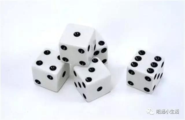 每人五颗骰子,猜测玩家手中共有多少个相同点数的骰子
