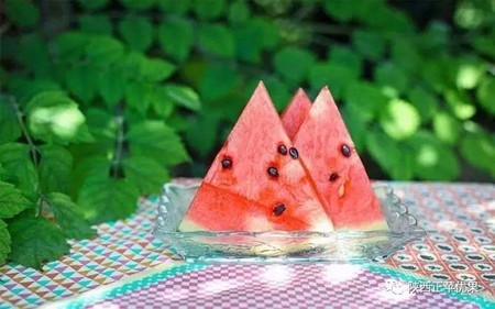 清凉一夏,轻松挑到又甜又好的西瓜