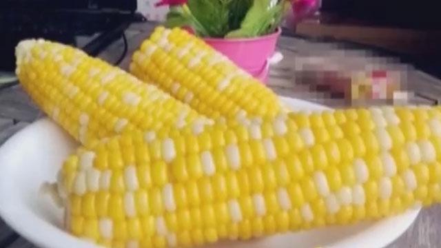 《财富故事》20170901新农人创富新农业