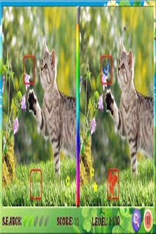 只为考验你的眼力,欢迎大家来找茬! 应用截图