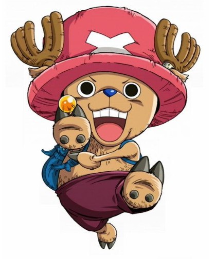 热血海贼王最爱的乔巴