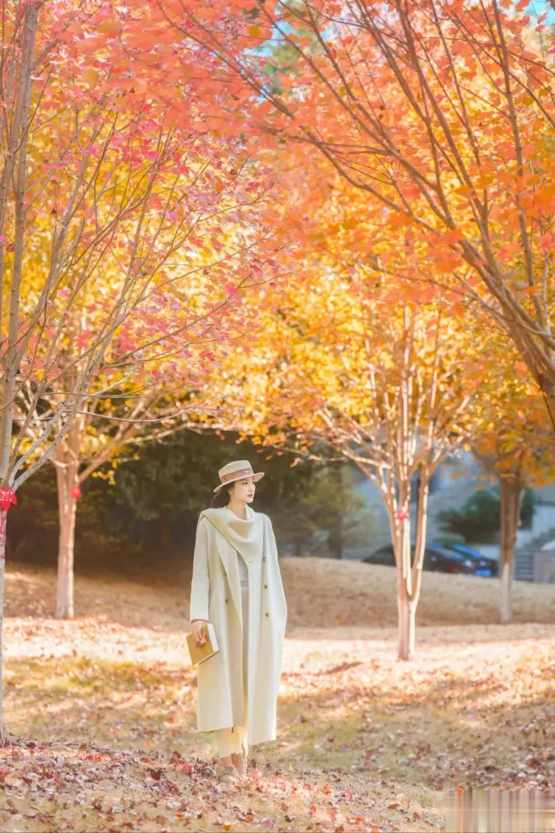 9个枫叶拍照姿势,文艺浪漫又唯美,温柔优雅显气质!