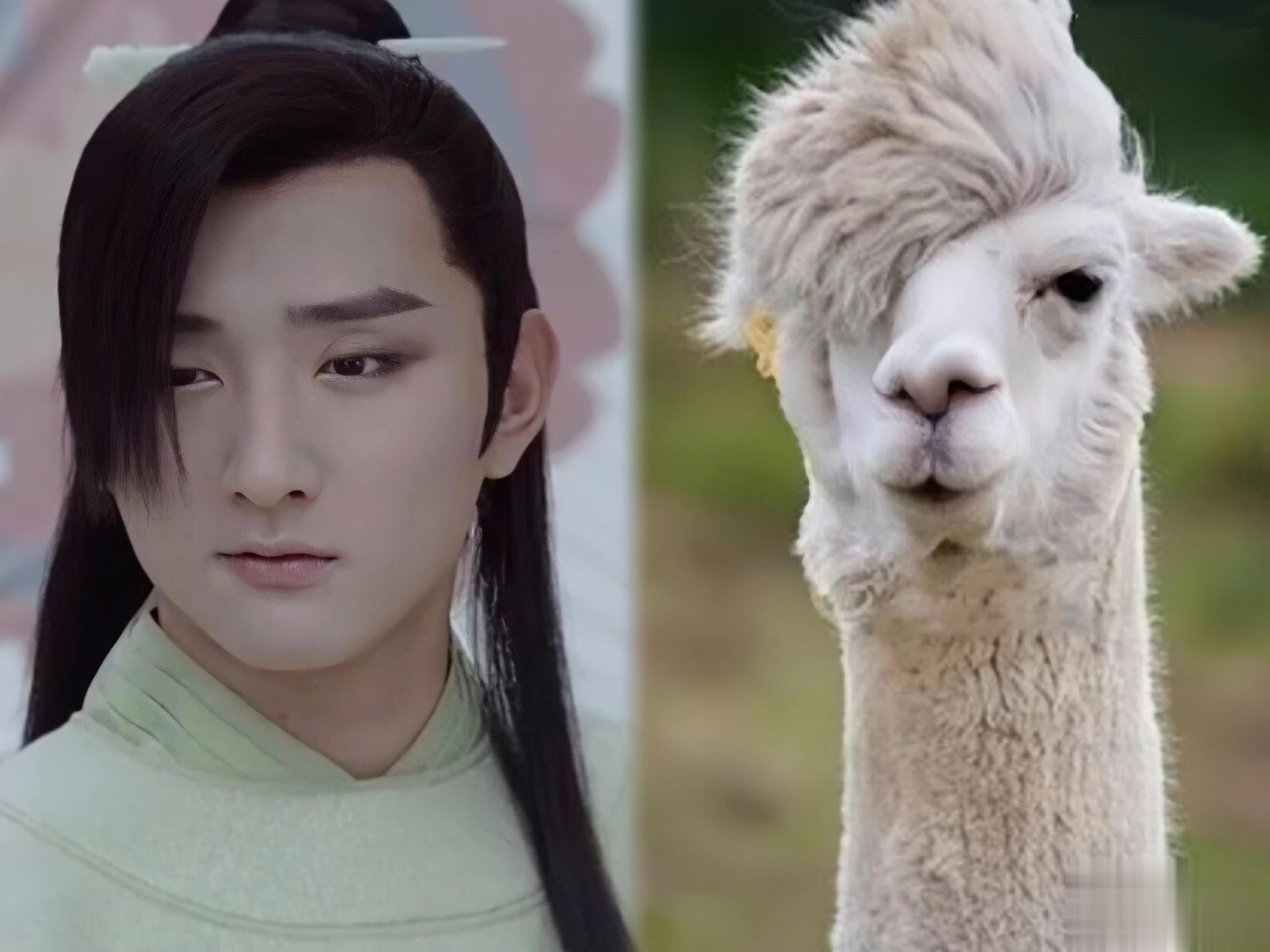 长相磕碜却演"绝世美男",8位丑不自知男星自信从何而来