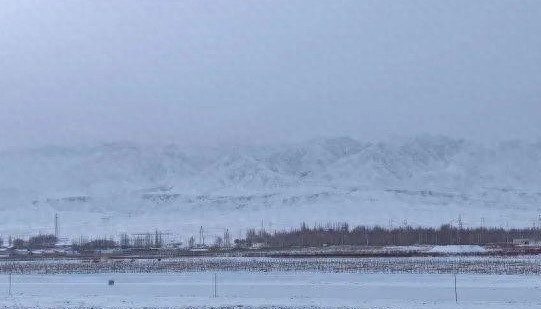 东北的雪要下到发紫