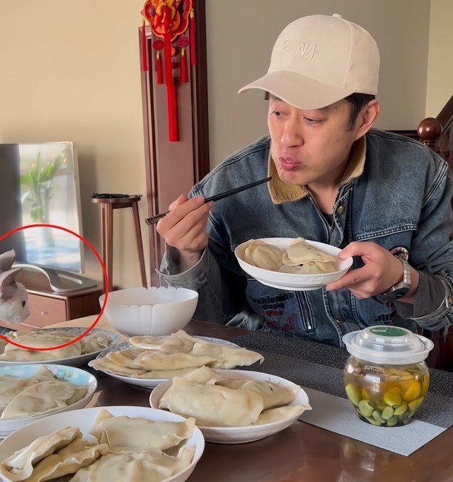 53岁刘均自曝单身！饺子被猫舔过照吃，沙发女士包抢镜 - 360娱乐，你开心就好